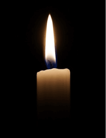 James Mason Vinson Obituary